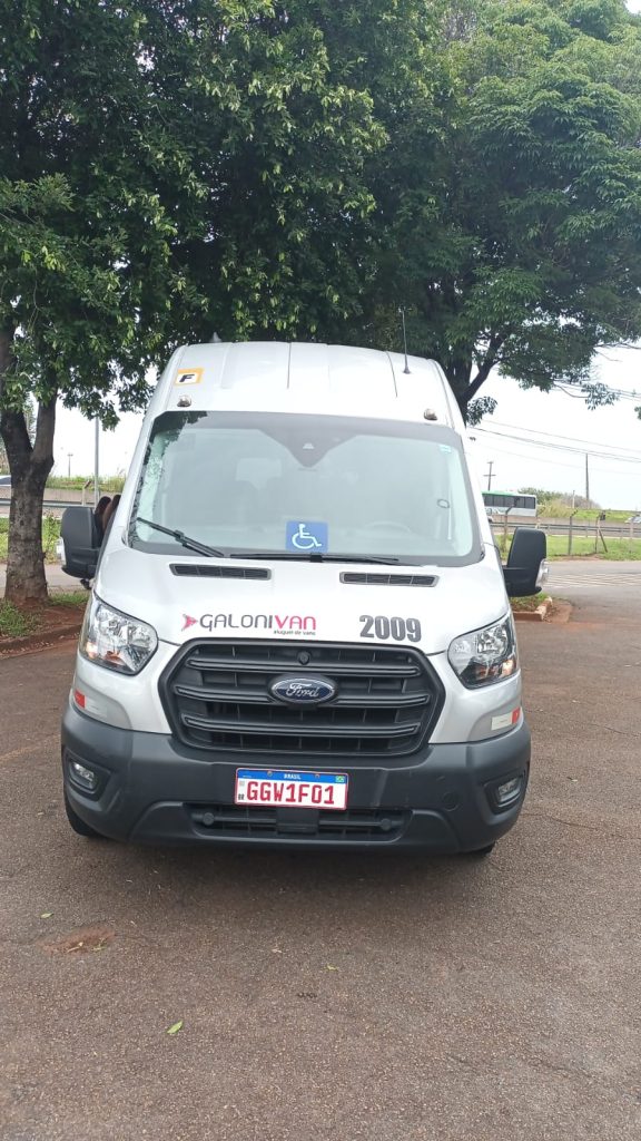 Van Ford Transit Executiva